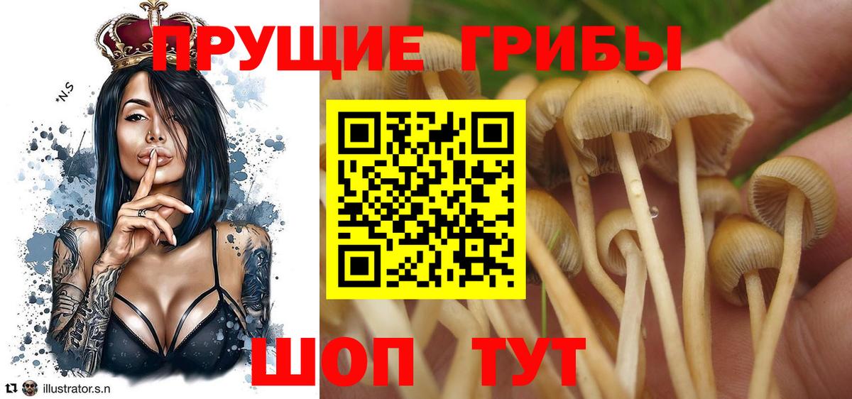 Псилоцибиновые грибы Magic Shrooms  Псилоцибиновые грибы GOLDEN TEACHER  Вход с VPN  Ханты-Мансийск 